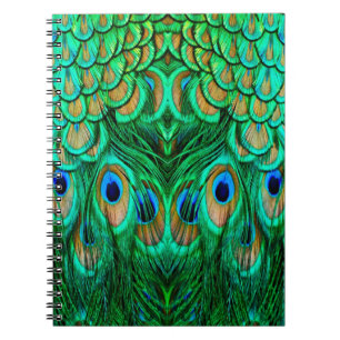 Glorious Peacock Feathers Anteckningsbok Med Spiral