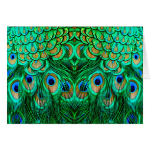 Glorious Peacock Feathers Hälsningskort