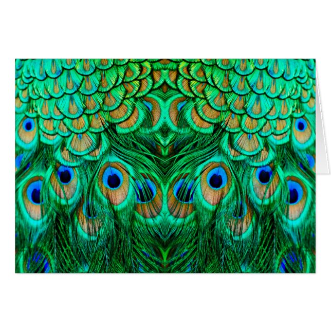 Glorious Peacock Feathers Hälsningskort (Framsidan Horizontal)