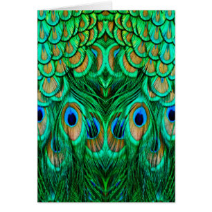 Glorious Peacock Feathers Hälsningskort