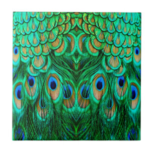 Glorious Peacock Feathers Kakelplatta