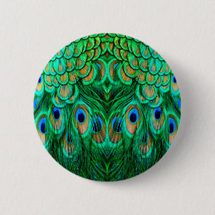 Glorious Peacock Feathers Knapp