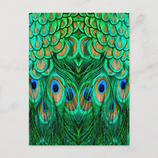 Glorious Peacock Feathers Vykort (Framsida)