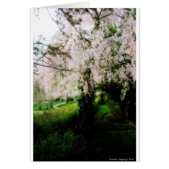 Glorious Vår Card Hälsningskort (Framsidan)