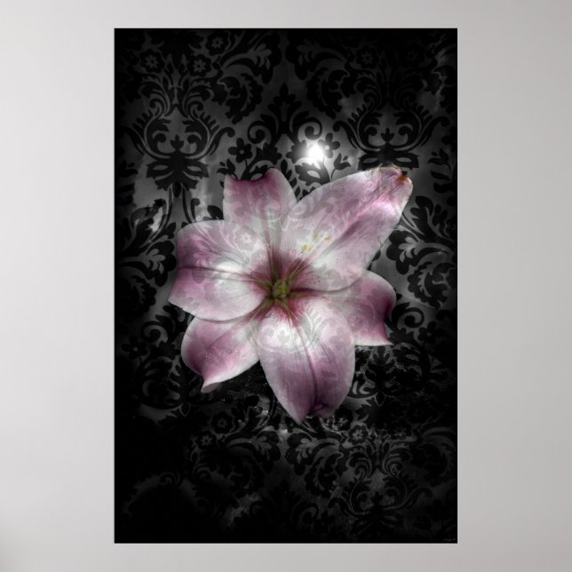 Gloriserat mysterium poster (Framsidan)