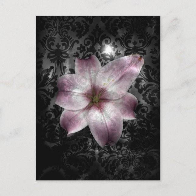 Gloriserat mysterium vykort (Framsida)