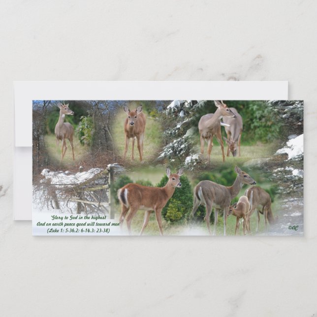 Gloriskt för Gud.. (Framsida)