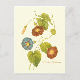 Glory Blue Illustration på morgonen Vykort