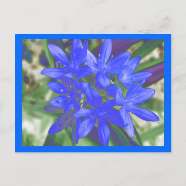 Glory of the Snö Fluorescent Blue Postcard Vykort (Framsida)