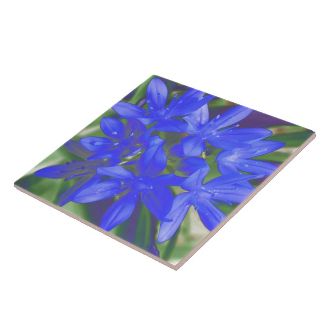 Glory of the Snö Fluorescent Blue Tile Kakelplatta (Sidan)