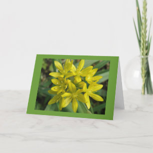 Glory of the Snö Greeting Card Kort