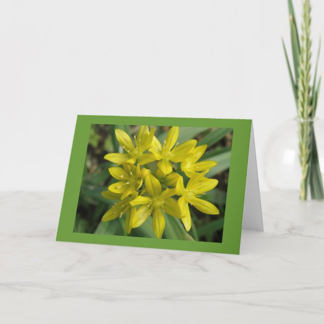 Glory of the Snö Greeting Card Kort (Framsida)
