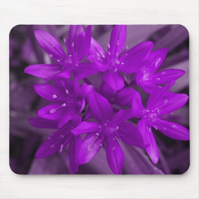 Glory of the Snö Lila Mousepad Musmatta (Framsidan)