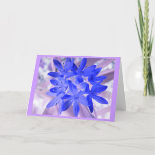 Glory of the Snö Shocking Blue Greeting Card Kort