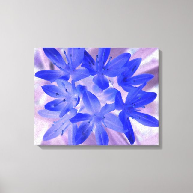 Glory of the Snö Shocking Blue Kanvastryck (Framsida)