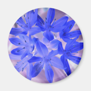 Glory of the Snö Shocking Blue Magnet