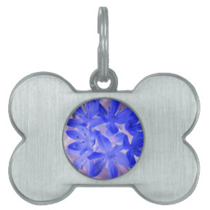 Glory of the Snö Shocking Blue Pet Tag ID-bricka Husdjur