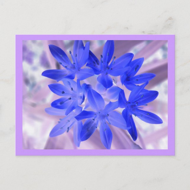 Glory of the Snö Shocking Blue Postcard Vykort (Framsida)