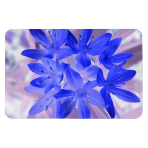 Glory of the Snö Shocking Blue Premium Magnet