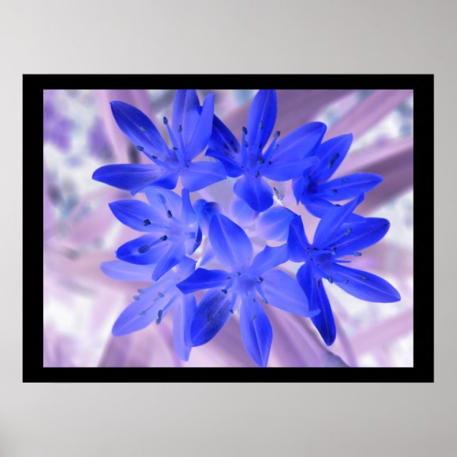 Glory of the Snö Shocking Blue Print Poster (Framsidan)