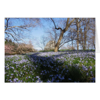 Glory of Vår - Card Hälsningskort