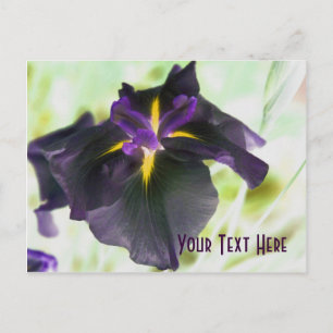 Gloserande Iris Blommigt Anpassade-vykort Vykort