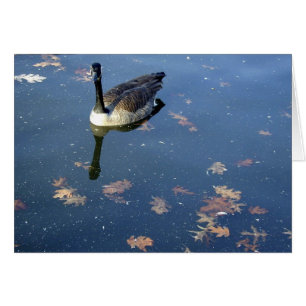 Glossy Goose-kort Hälsningskort