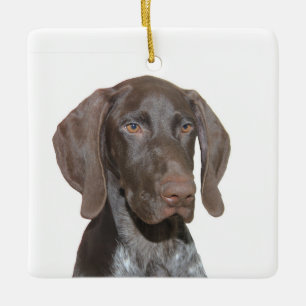 Glossy Grizzly jul Ornament