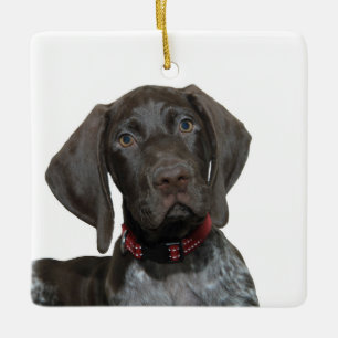 Glossy Grizzly jul Ornament