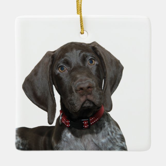 Glossy Grizzly jul Ornament (Framsida)