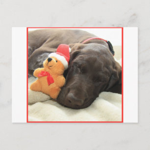 Glossy Grizzly-julpekare Helg Vykort