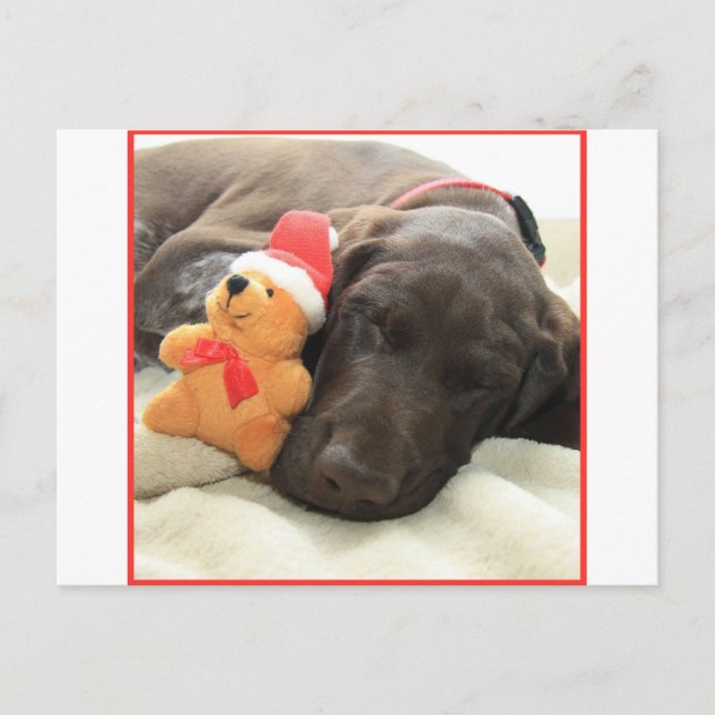 Glossy Grizzly-julpekare Helg Vykort (Framsida)