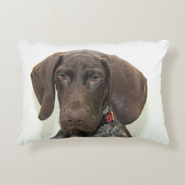 Glossy Grizzly Prydnadskudde (Framsidan)