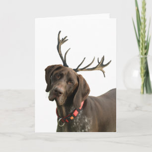 Glossy Grizzly Reindeer-pekare Helgkort