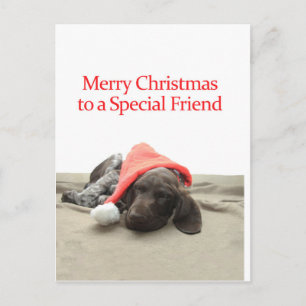 Glossy Grizzly Speciell Friend God jul Helg Vykort