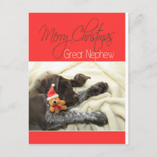 Glossy Grizzly Underbar Nephew God jul Helg Vykort
