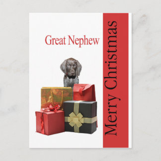 Glossy Grizzly Underbar Nephew God jul Helg Vykort