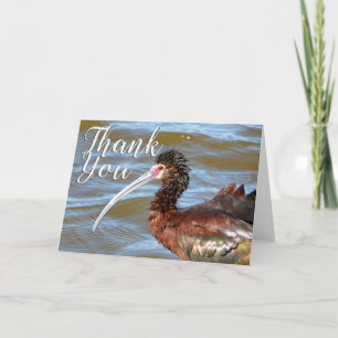 Glossy Ibis Photo Tackto You Card Tack Kort