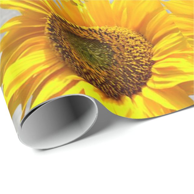 Glossy Wrapping Papper Cat Kitten Presentpapper (Rullad Hörn)