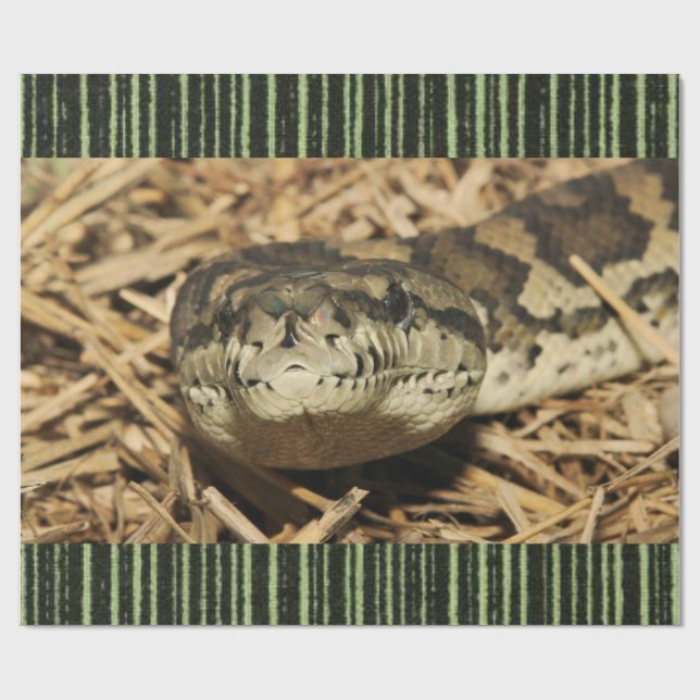 Glossy Wrapping Papper orake Presentpapper (Platt)