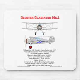 Gloster Gladiator-biplan med 73 skvadroner RAF 193 Musmatta