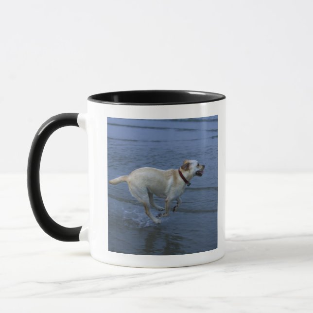 Gloucester Massachusetts, USA 2 Mugg (Vänster)