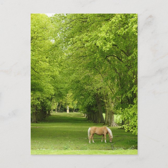 Gloucestershire, Förenade kungariket Vykort (Framsida)