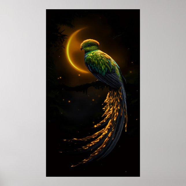 Glow of the Night Feather Poster (Framsidan)