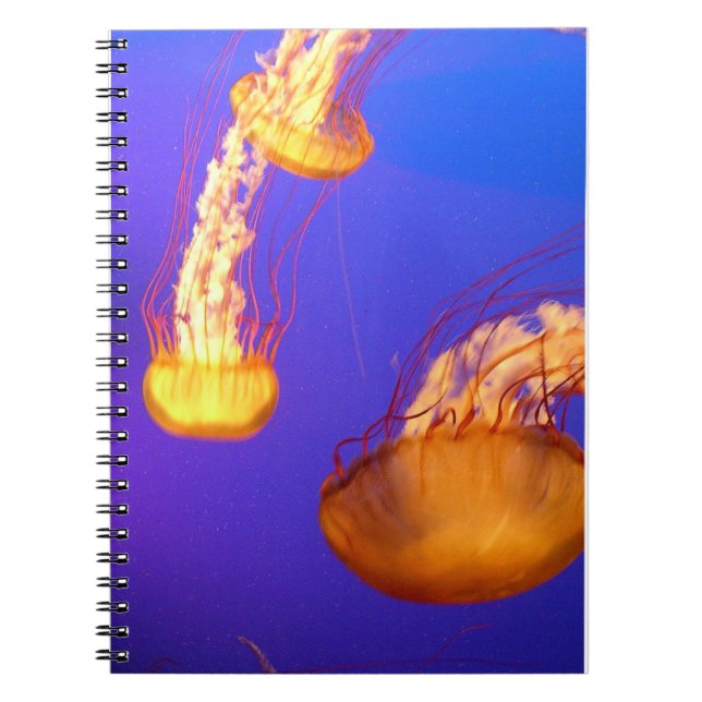 GLOWANDE JELLYFISH SPIRAL BOUND NOTEBOOK ANTECKNINGSBOK (Framsidan)