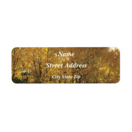 Glowing Aspen Träd Returadress Etikett