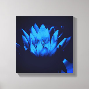 Glowing Blue Vatten Lily Lotus Flower Abstrakt Canvastryck