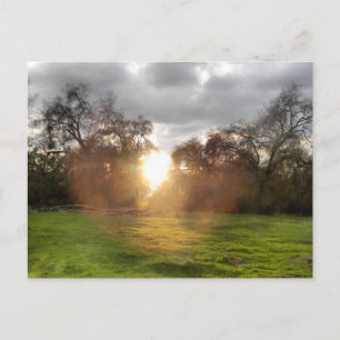 Glowing Boll of Light Postcard Vykort