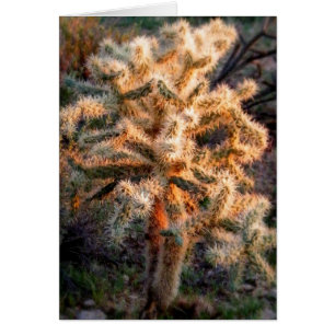 Glowing Cholla Hälsningskort