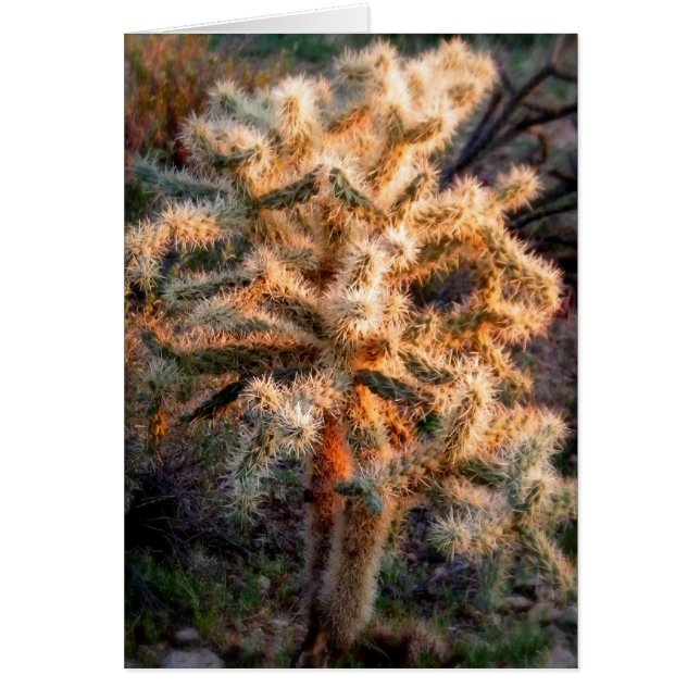 Glowing Cholla Hälsningskort (Framsidan)